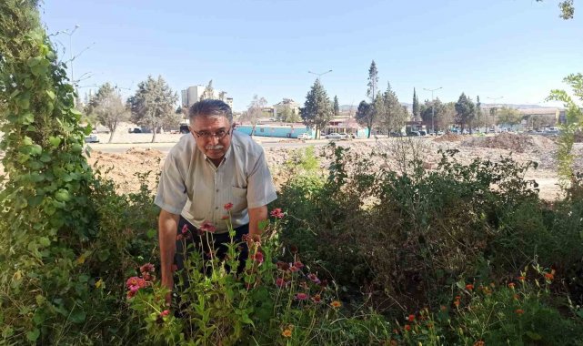 Kahramanmaraş'ta bir muhtar enkaz halindeki mahallesini yeşillendirmek ...