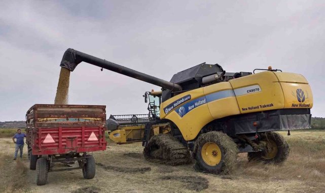 Kırklareli'nin Pehlivanköy ilçesinde buğday ve ayçiçeğinden sonra en ço...