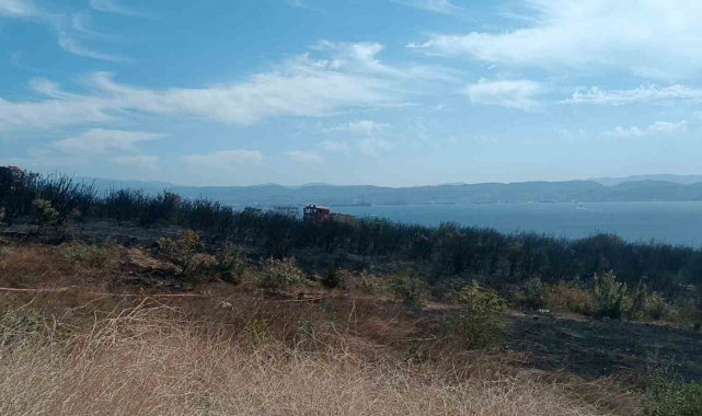 Kocaeli'nin Gebze ilçesinde çıkan orman yangınında yaklaşık 8 dönüm ala...