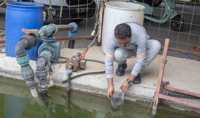 Mersin Büyükşehir Belediyesi, 2020 yılında sivrisinekle mücadele için başla...