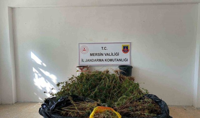 Mersin'de uyuşturucu satıcılarına yönelik gerçekleştirilen operasyonda ...