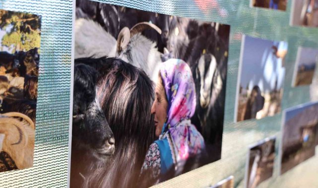 Mersin'in merkez ilçe Toroslar Belediyesi ile Akdeniz Sanat Kolektifi i...