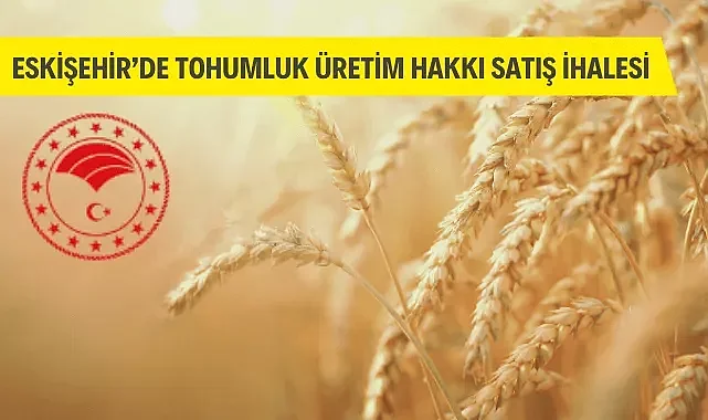 Ramisbey Buğday Çeşidi Tohumluk Üretim Hakkı Satışı İhalesi Duyurusu!