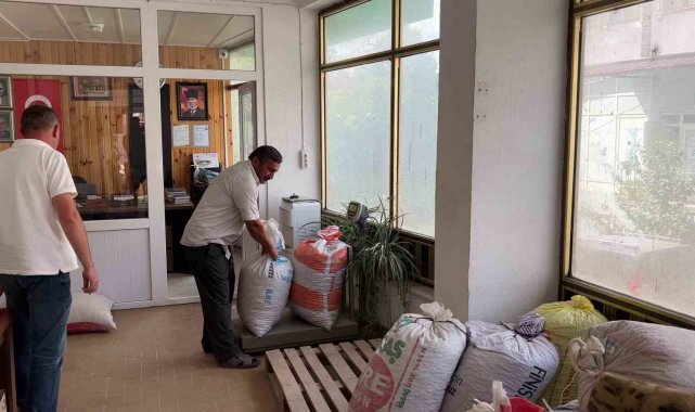 Sakarya'da rekolte düşüklüğü sebebiyle fındık fiyatlarında artış yaşand...