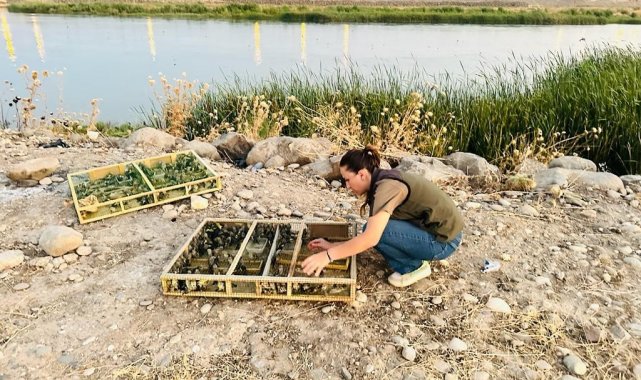 Şırnak'ın Silopi ilçesinde bulunan Habur Gümrük Kapısı'nda Irak'...