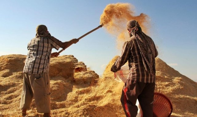 Tarımsal girdi fiyat endeksi, Temmuz ayında yıllık yüzde 34,32, aylık yüzde...