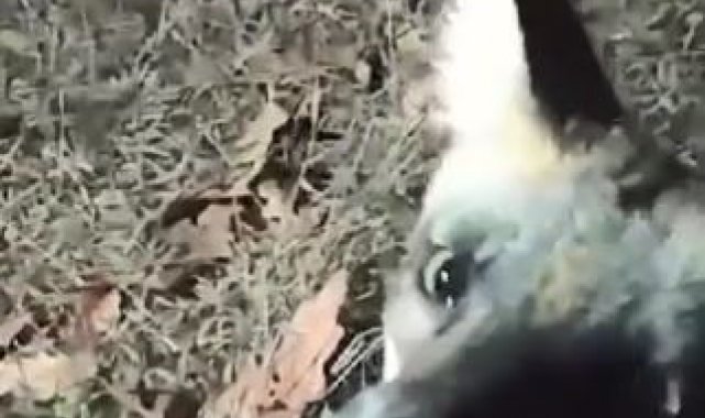 Tekirdağ'ın Kapaklı ilçesi Kazak Gölü Mesire Alanı'nda piknik yapan...