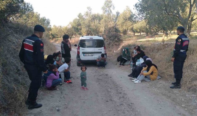 Çanakkale İl Jandarma Komutanlığı ekiplerince Ayvacık ilçesinde düzenlenen ...