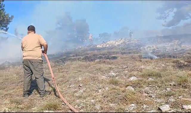 Kütahya'nın Domaniç ilçesine bağlı Tıraz köyü yakınlarından çıkan orman...