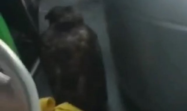 Bursa'nın İnegöl ilçesinde Akhisar Mahalle seferini yapan özel halk oto...