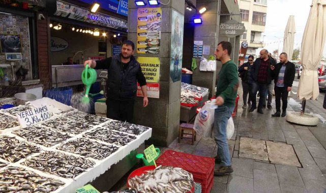 Karadeniz'de son zamanlarda bol miktarda avlanan hamsi, hem balıkçıları...