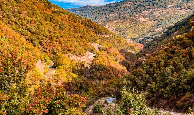 Türkiye'nin en ılıman iklimine sahip illerin başında gelen Aydın'da...