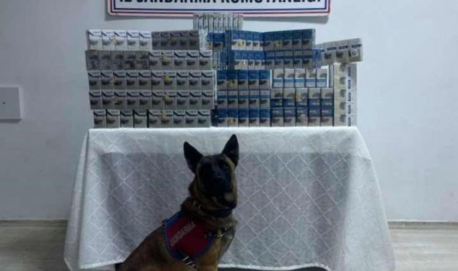 Van'da jandarma ekiplerince yürütülen çalışmalar sonucunda uyuşturucu m...