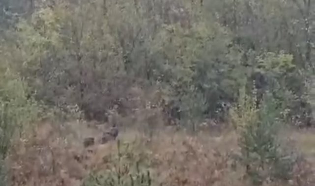 Zonguldak genelinde etkili olan sağanak ve fırtına doğal yaşam koşullarını ...