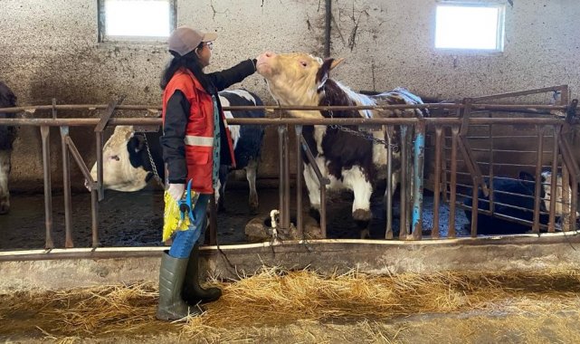Afyonkarahisar'ın Sandıklı ilçesinde Tarım ve Orman İlçe Müdürlüğü tara...