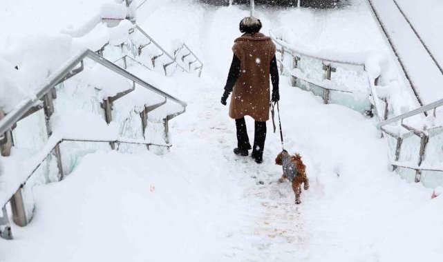 Almanya'nın güneyinde etkili olan yoğun kar yağışı nedeniyle tren sefer...
