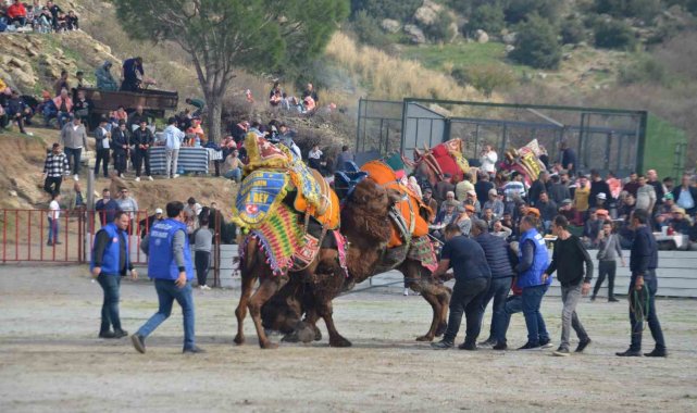 Ege ve Akdeniz Yörüklerinin en önemli geleneklerinin başında yer alan deve ...