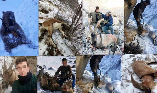 Erzincan'da nesli tükenme tehlikesi altında olan türlerin kırmızı liste...