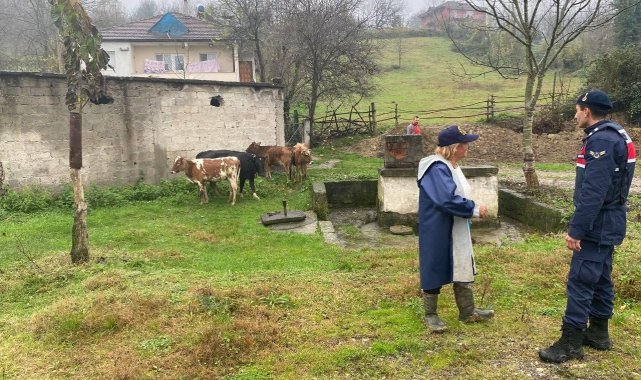 Gökçebey İlçe Jandarma Komutanlığı, vatandaşların bildirimi üzerine başıboş...