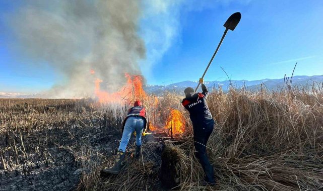 Hakkari'nin Yüksekova ilçesinde birçok kuş türünün yaşadığı Nehil Sazlı...