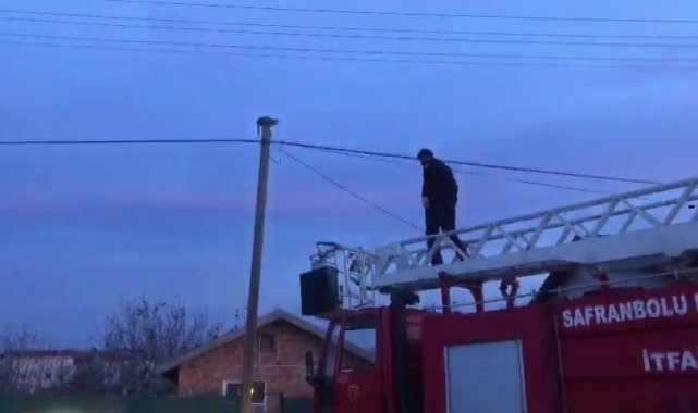 Karabük'ün Safranbolu ilçesinde sokak köpeklerinden kaçtığı sırada çıkt...