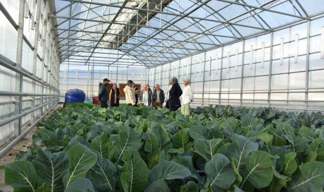 Tokat'ın Niksar İlçesinde Belediye tarafından hayata geçirilen "Se...