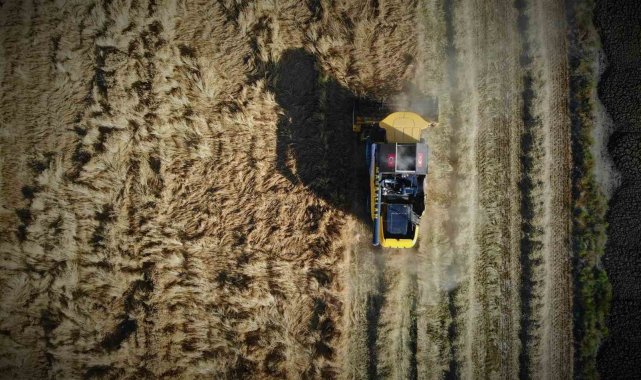 Türkiye'nin tahıl ambarı olarak bilinen Konya Ovasında yaklaşık 1 milyo...