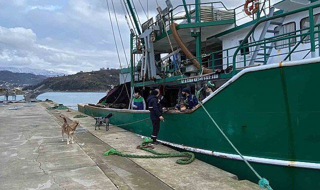 Gürcü karasularından Türk karasularına giren hamsi balıkçıların yüzünü güldürdü
