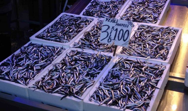 Türkiye genelinde son 2 yılda hamsi ihracatından 24 milyon 882 bin 508 dola...