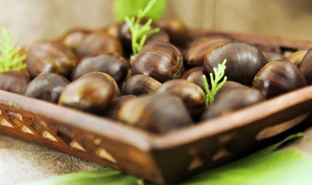 Yaşar Üniversitesi Gastronomi ve Mutfak Sanatları Bölüm Başkanı Prof. Dr. S...