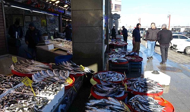 Hamsi artık kayıplarda