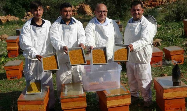 Türkiye'nin bal üretiminde ilk sıralarda yer alan Mersin'de, milyon...