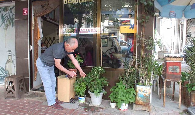 Balıkesir'de iki yıllık biber fidesi meyve verdi