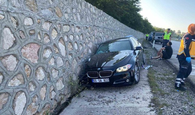 Amasya'nın Gümüşhacıköy ilçesinde seyir halindeyken yol kenarındaki ist...