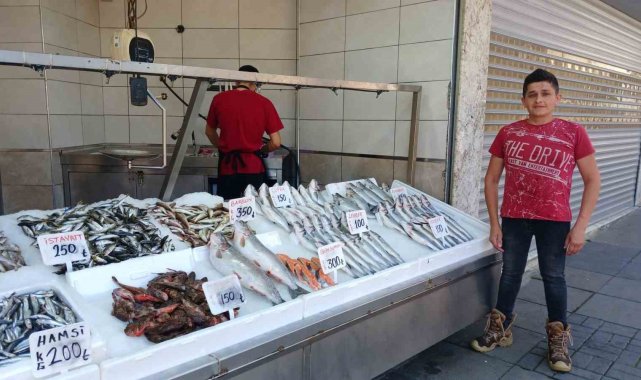 Düzce'de Kurban Bayramı sonrasında balık tezgahlarında Karadeniz'de...