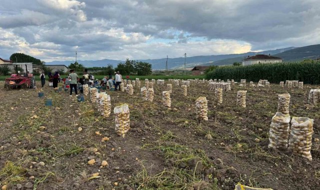 Tokat'ta yerli patateslerin sökülme işlemi başladı.
Tokat'ın öneml...
