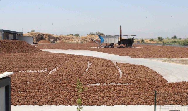 Türkiye'nin en sıcak illerinin başında yer alan Aydın'ın kavurucu s...