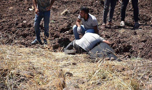 Siverek'te otomobil şarampole devrildi: 1 ölü, 3 yaralı