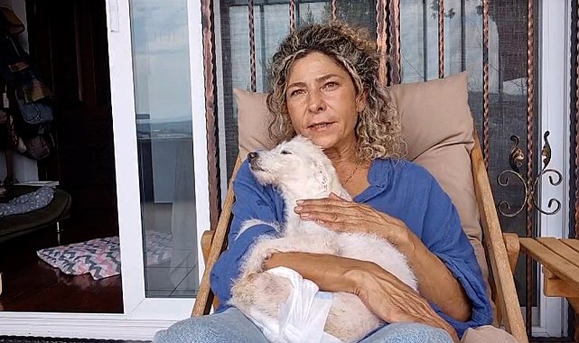 Arka ayakları kesilmiş halde bulunan köpek yeni yuvasına kavuştu