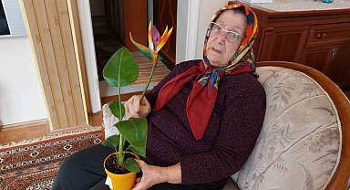 'Canlı' diye aldığı çiçek 'plastik' çıkınca BİM'i savcılığa şikayet etti