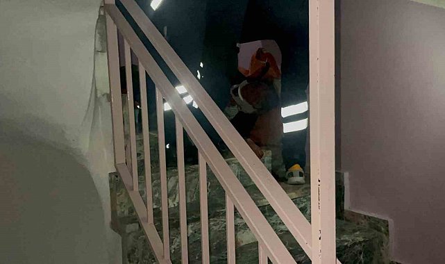 5'inci kattaki merdivenlerden düşerek yaralanan kadın hastaneye kaldırıldı