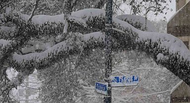 ABD'de kar fırtınası: 4 ölü