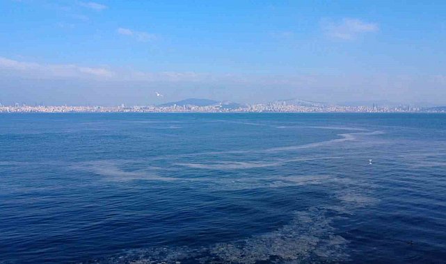 Adalar'daki müsilaj tehdidi havadan görüntülendi