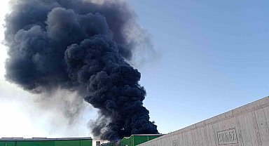 Adana'da geri dönüşüm fabrikasında yangın