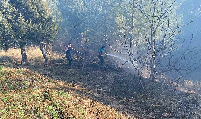 Adana'da orman yangını kontrol altına alındı