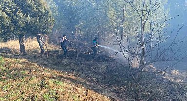 Adana'da orman yangını kontrol altına alındı