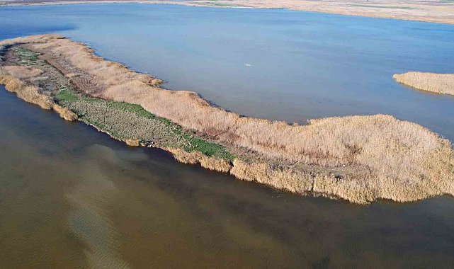 Adana'nın saklı cenneti Nergis Adası, yok olma tehlikesiyle karşı karşıya