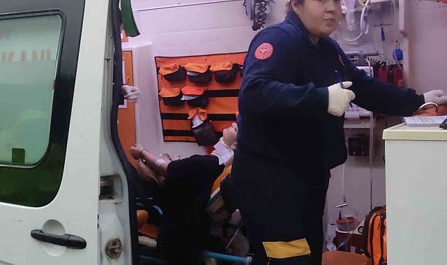 Ağaca çarpan araçtaki 2 kişi yaralandı