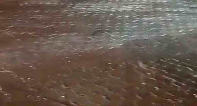 Antalya'da drift yapan 4 sürücüye 206 bin 412 lira ceza