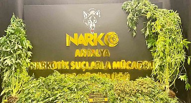 Antalya'da son 1 haftada 11 kilogram skunk ele geçirildi